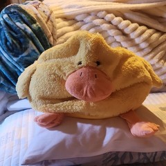 Yellow & Pink Soft Plush Duck Stuffed Animal Small 6-14 in Ages 3-7