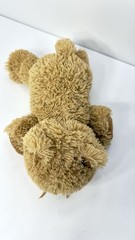 Ty 2006 Tangy the Kitty Cat TySilk 10″ Stuffed Animal Plush