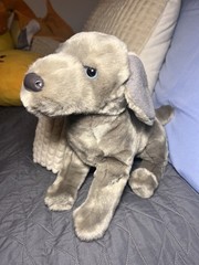 Cassie 16″ Weimaraner Dog Stuffed Animal Douglas Plush Cuddle silver retriever