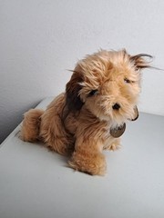 VTG. Dakin 1980 BENJI Movie 9″ Plush Dog with Tags #33 / 2030