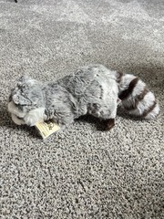 WEBKINZ SIGNATURE Raccoon WKS1004 New With Sealed Unused Code Ganz Plush Retired