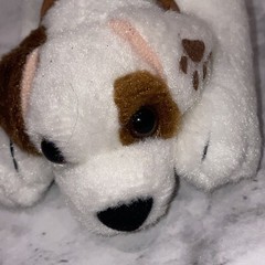 HTF Wishbone Dog 6” Plush 1996 Toy VTG Jack Russell Terrier PBS Equity Toys