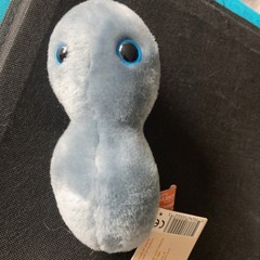 GIANT microbes The Clap/Gonorrhea Plus Toy 6”