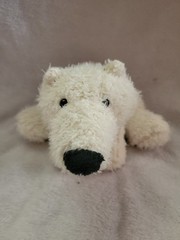 Ganz Webkinz Polar Bear White Stuffed Animal HM116 No Code