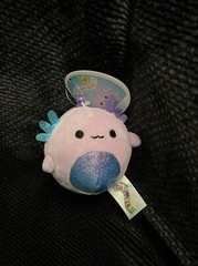 Monica the Purple Axolotl ~ 3″Clip On Squishmallow ~Colorful Crew NWT KellyToy