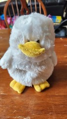 Webkinz Duck no code