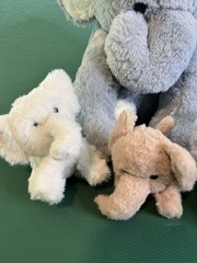Soft Kids 5 In 1 Elephant Plush Toy Baby Elephants