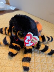 Ty Beanie Boos Charlotte The Halloween Spider Orange Black 6″ Stuffed Animal NWT