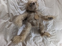 Little Toastiest New Zealand GUS the SLOTH Heating Pad Stuffed Animal 18”