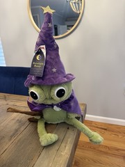 Moonlight Manor Halloween TikTokViral Wizard Frog Weighted Plush