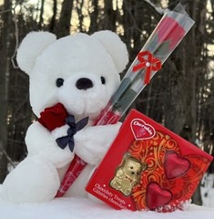 Valentines Day Gift