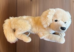 Toys R Us FAO Schwarz Golden Retriever Stuffed Plush 18” 2012 Laying Down