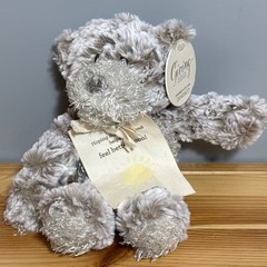 DEMDACO Giving Bear 8″ Super Soft Teddy Bear With Get Well Message With Tag