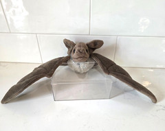 Wild Republic BAT Plush Stuffed Animal 18″ Wing Span Brown Gray Soft Cute