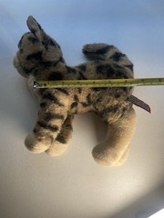 Douglas Cuddle Toys TASHETTE BENGAL CAT Plush 9.5” Stuffed Animal Toy