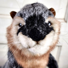 2015 HANSA River Otter 3814 Realistic Plush Animal Standing 14.5″
