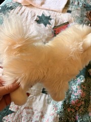 Douglas Cuddle Toys Phoebe White Pomsky # 1704 Stuffed Animal Toy