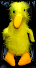RARE Vintage 70s Grand Forks Air Force Base Credit Union 20″ Plush Big Bird Bank