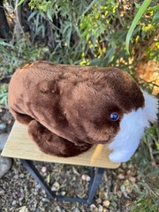 Sea World Walrus Seal 12” L Plush Stuffed Animal Realistic Toy 1982 Vintage