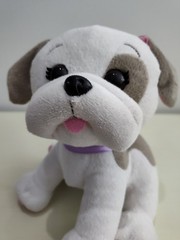 Cabbage Patch Kids Adoptimals Dog Puppy Plush Stuffed Animal Toy NO Locket & Key