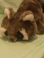 Vintage Russ Berrie Jimmy Raccoon Plush Toy 13” Item #526 Stuffed Animal