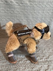 ESSA Emotional Support Douglas Dog🐶Golden Retriever With All Gear Included🐶
