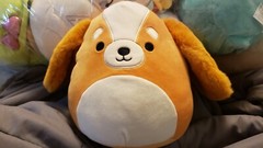 Ysabel Squishmallows 7.5″ 8″ Cocker Spaniel Dog Pet Buddy Squad NWT NEW