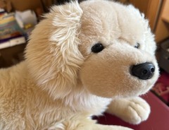Toys R Us FAO Schwarz Golden Retriever Stuffed Plush 18” 2012 Laying Down