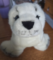 Adventure Planet Soft White Harp Seal 13″ Plush Stuffed Animal Toy