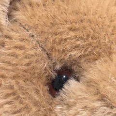 Vintage Felpa Mutzli Zurich Swiss Mohair Teddy Bear 14” Handmade Outfit