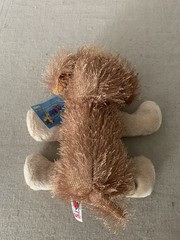 Ganz Webkinz Plush Cocker Spaniel HM011- New w/ Sealed Code