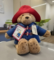Vintage Eden Paddington Bear Plush 2007 Complete w/ Org Tags Red Hat Blue Coat