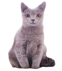 Grey Cat Print Pillow Plush Toy 19″ Stuffed Animal Toddler Doll Gift for Kids