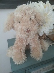 GUND Dog Nayla Cockapoo Plush.