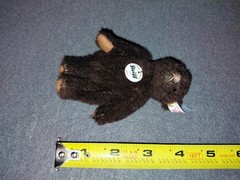 Steiff Club Miniature Teddy Bear,2011, COA, boxed, 10cm, alpaca,Tag #421167, NIB