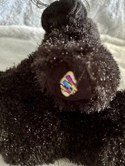 Webkinz By Ganz Black Panther Plush Stuffed Animal HM216 No Code