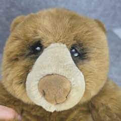 Retired Vintage Plush Dakin Lou Rankin Friends Jasper Brown Teddy Bear 12″