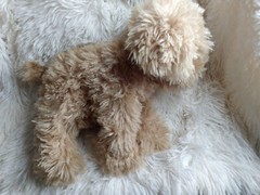 GUND Cockapoo Plush Stuffed Dog NAYLA 11 inch long