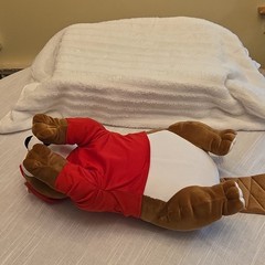 Buc-ee’s Mascot Beaver Plush Stuffed Animal w/ Red Shirt & Cap Brown/Red NWT
