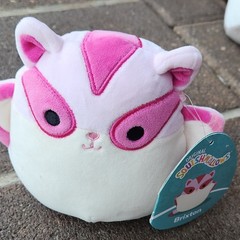 Squishmallows Brixton Small Pink White Plush Doll Toy 3+ Years Age Level 3-4