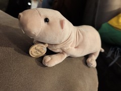 Wild Republic Naked Mole Rat Plush Brown Squishy Soft Toy Learning Realistic 9”