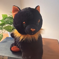 Halloween Cute Black Cat Plush 2009 Kids Preferred 7.5” Tall Orange Ribbon
