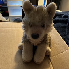 Wild Republic Timber Wolf 8” Sitting Plush Toy Soft Stuffed Animal Realistic