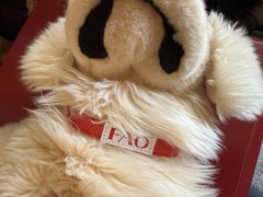 Toys R Us FAO Schwarz Golden Retriever Stuffed Plush 18” 2012 Laying Down