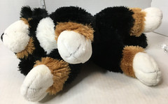 Gund Tricolor Brown Tan White Plush Burmese Mountain Dog Puppy “Randle” 13″