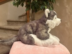 RARE Animal Alley Large Husky Dog Wolf Gray White Toys R Us 24” Wolf Realistic