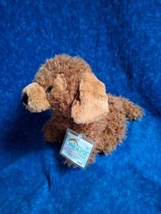 Ganz 2025 Webkinz Next Cockapoo WK00024 Dual 2 Adoption Codes Gen3 1st Wave No W