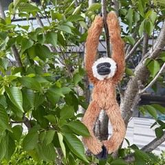 Stuffed Monkey Toys Hanging Stuffed Animal, Hooks and Stuffed Animals with Ri…