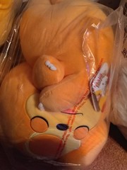 Pokemon 18″ Sleeping Plush Teddiursa