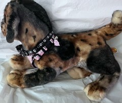 Custom Douglas Bass Pro Shop Mandy Yellow Lab Plush Named Her ASTRID OOAK